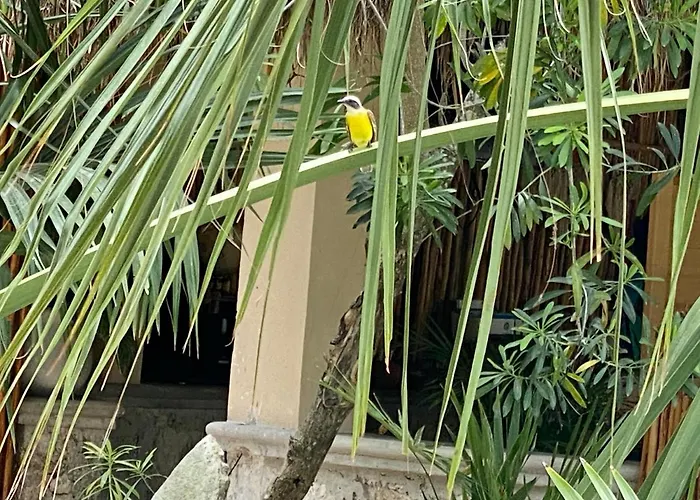 Privatunterkunft Jaakbal Tulum