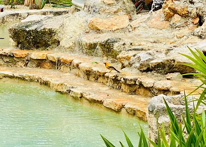 Jaakbal Privatunterkunft Tulum